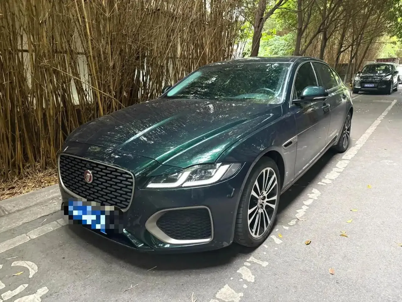 Open image lightbox: Jaguar XFL 2024 2.0T P 12500.00g Drive Premium Deluxe Edition