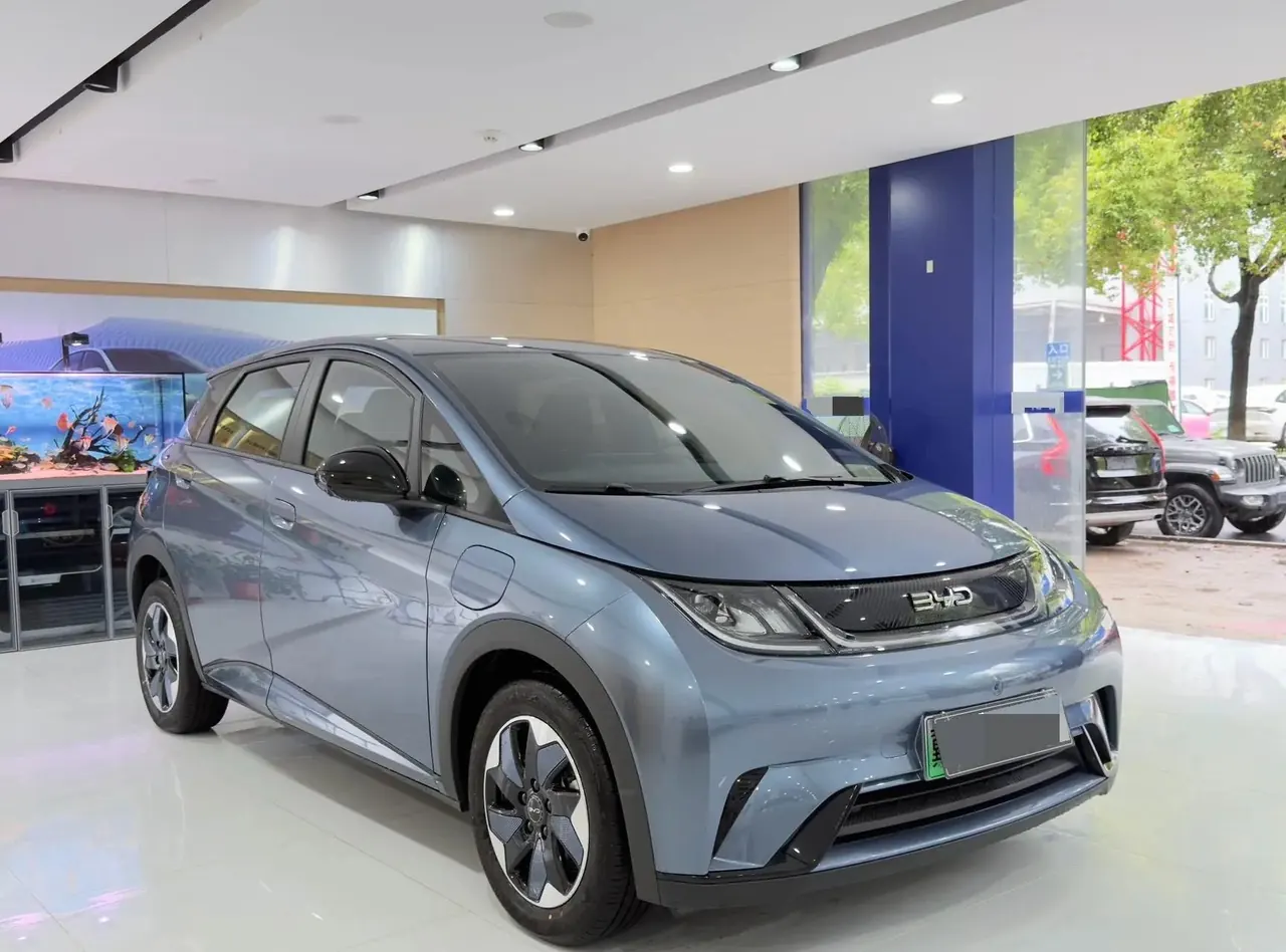 BYD 2023 Dolphin 420km Fashion Edition Automatic 3
