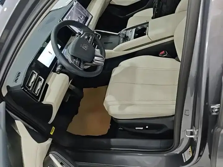Qin L 2024 DM-i 120KM Exceed 15