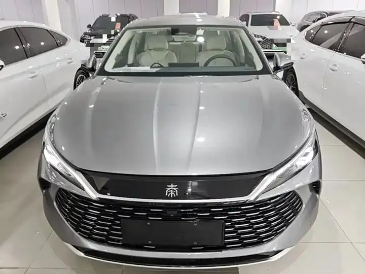 Qin L 2024 DM-i 120KM Exceed 3
