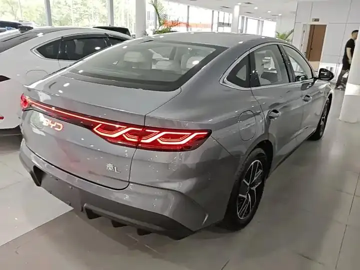 Qin L 2024 DM-i 120KM Exceed 7