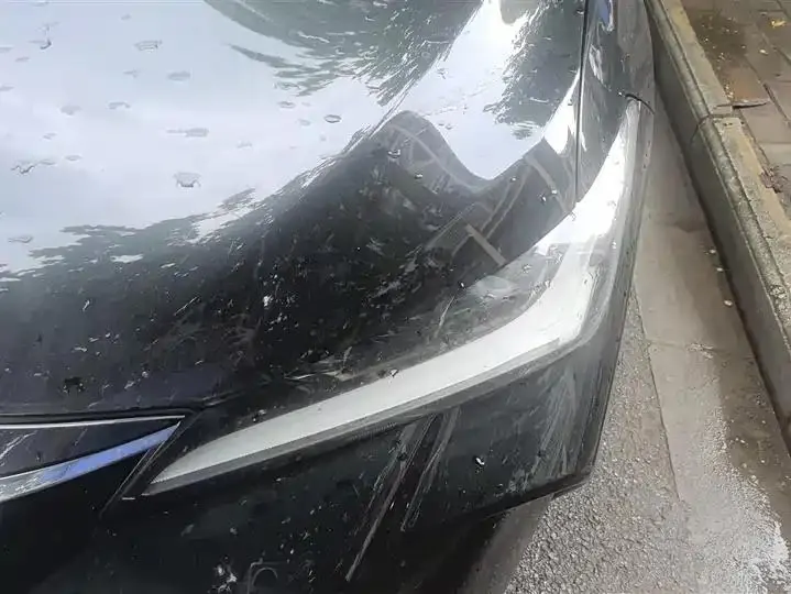 Asian Dragon 2023 Double Engine 2.5L Deluxe Edition 5