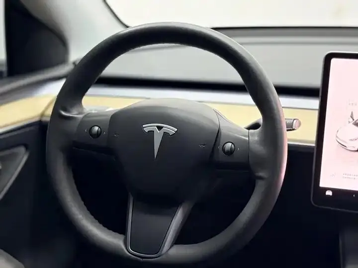 2022 Model Y Refreshed Rear-Wheel-Drive Version 10