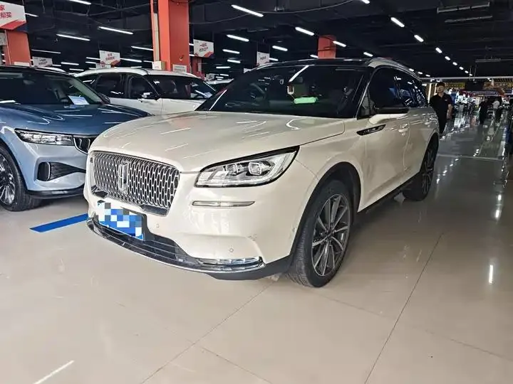 Adventurer 2022 2.0T 4WD Zunyao Edition - View 1
