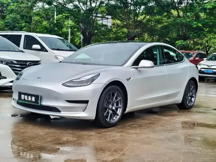 2020 Model 3 Standard Range Rear-Wheel Drive Upgrade Version - View 1