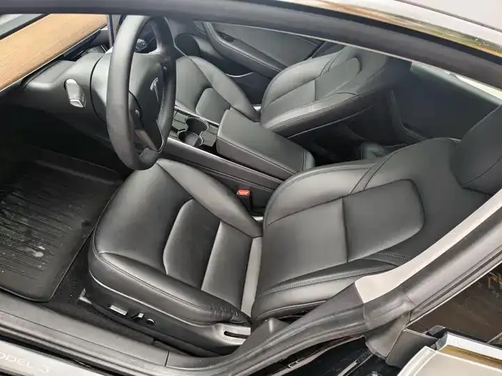 2020 Model 3 Standard Range Rear-Wheel Drive Upgrade Version 10