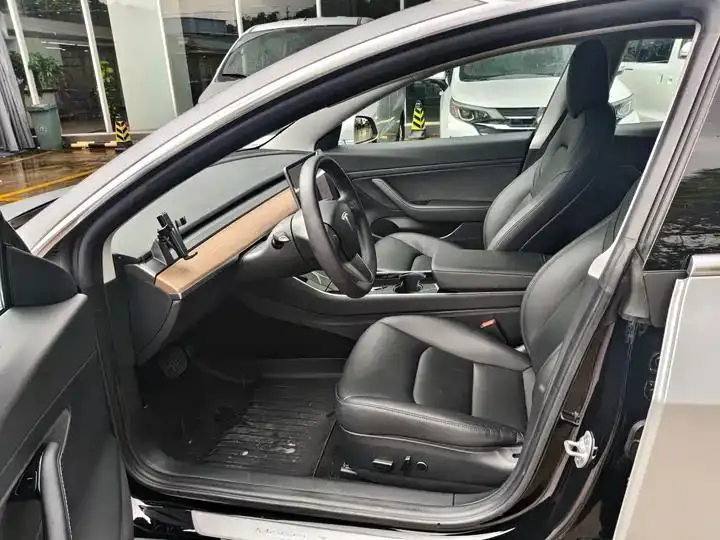2020 Model 3 Standard Range Rear-Wheel Drive Upgrade Version 9