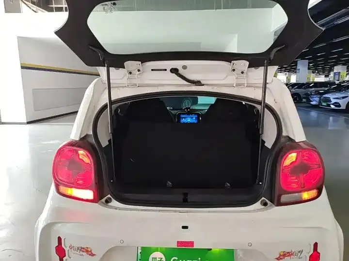 CLEVER 2022 311km Yuan Qi Bo Edition 19