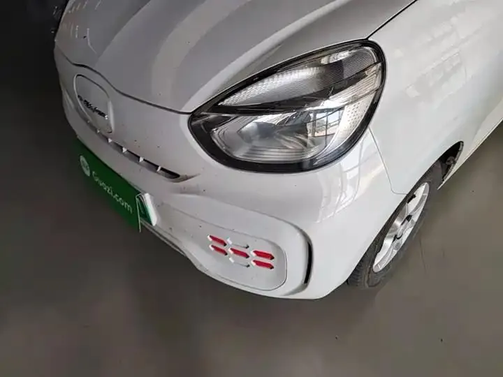 CLEVER 2022 311km Yuan Qi Bo Edition 24
