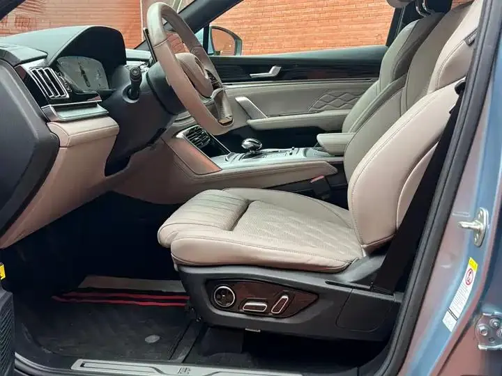 Tang New Energy 2024 DM-p Champion 215KM Four-wheel Drive Flagship 10