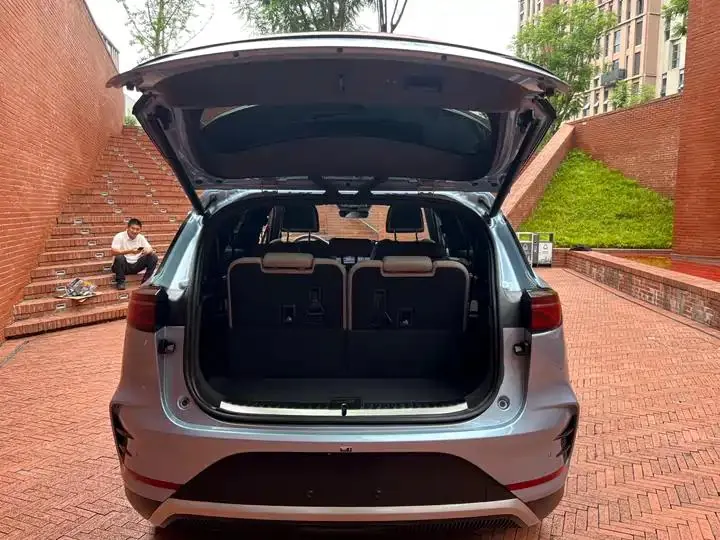 Tang New Energy 2024 DM-p Champion 215KM Four-wheel Drive Flagship 13