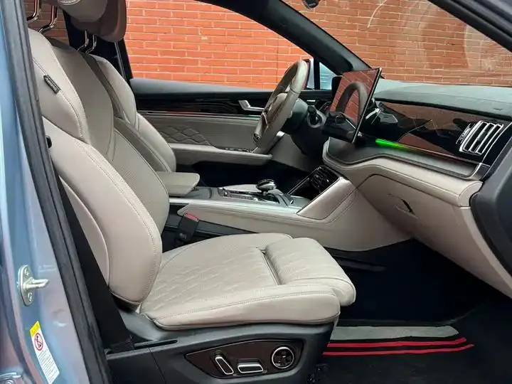 Tang New Energy 2024 DM-p Champion 215KM Four-wheel Drive Flagship 15