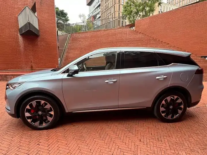 Tang New Energy 2024 DM-p Champion 215KM Four-wheel Drive Flagship 5