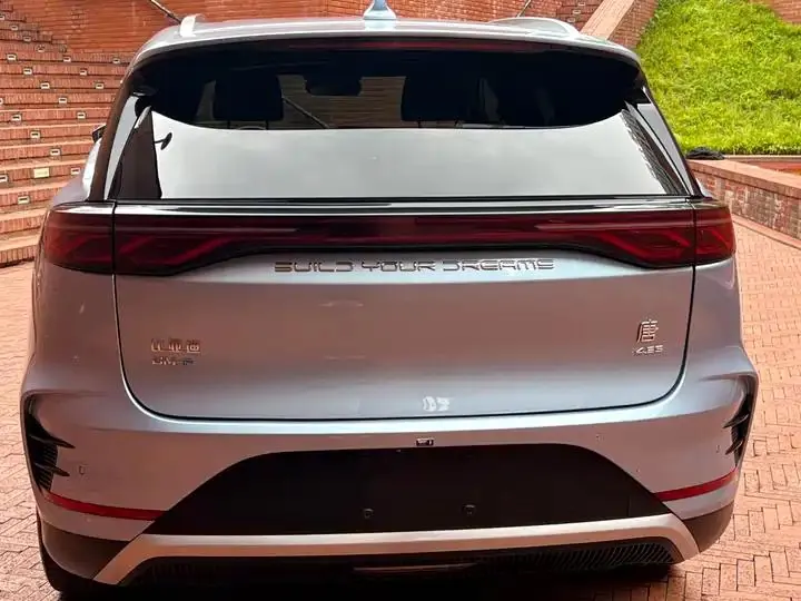 Tang New Energy 2024 DM-p Champion 215KM Four-wheel Drive Flagship 6