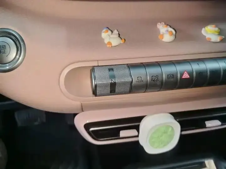 Seagull 2023 Vital Edition 14