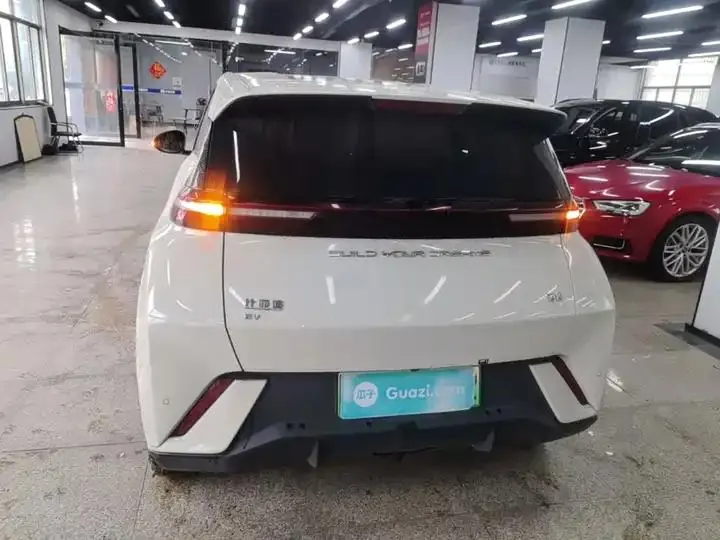 Seagull 2023 Vital Edition 6