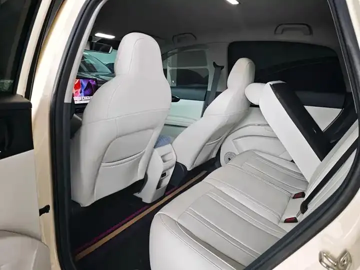 Star Wish 2025 310km Dream Edition 3