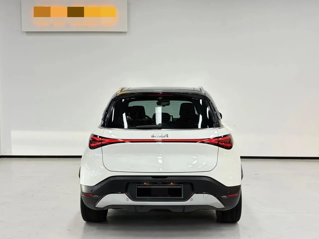 smart Smart #1 2022 Pro Edition 10