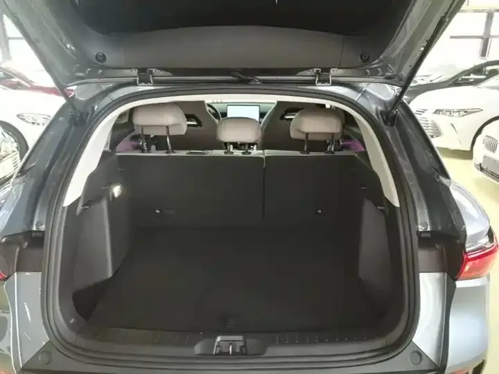 Yuan PLUS 2024 Glory Edition 510KM Exceed 19
