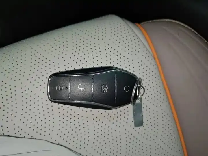 Yuan PLUS 2024 Glory Edition 510KM Exceed 9
