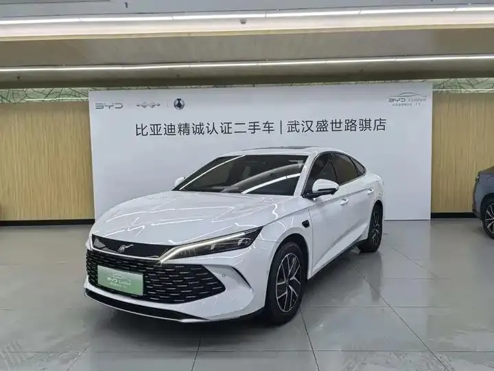 Qin L 2025 DM-i smart driving version 120KM leading model - View 1