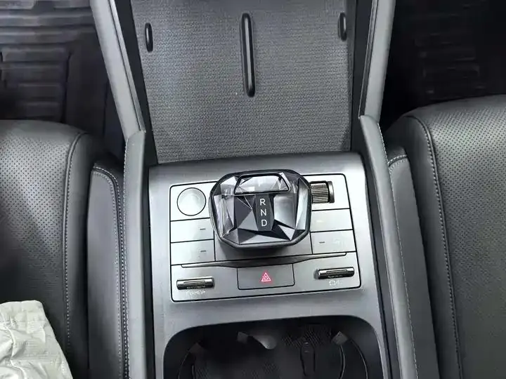 Qin L 2025 DM-i smart driving version 120KM leading model 13
