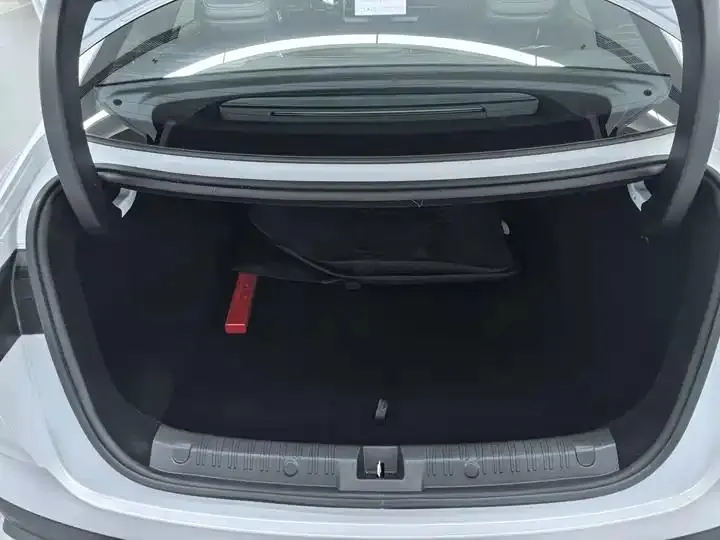 Qin L 2025 DM-i smart driving version 120KM leading model 15