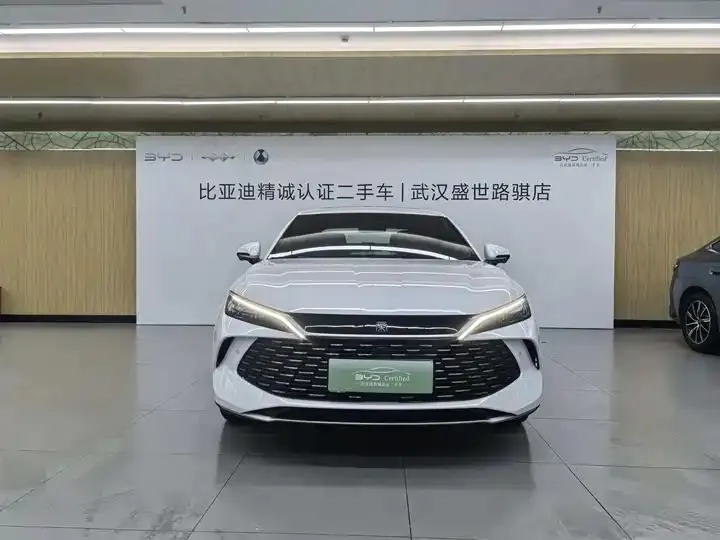 Qin L 2025 DM-i smart driving version 120KM leading model 2