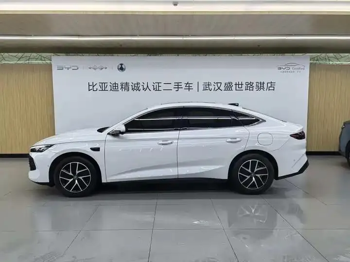 Qin L 2025 DM-i smart driving version 120KM leading model 3