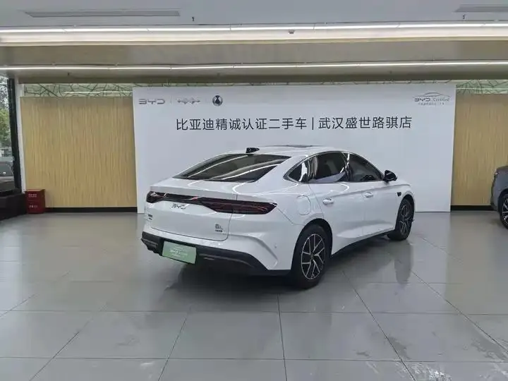 Qin L 2025 DM-i smart driving version 120KM leading model 4