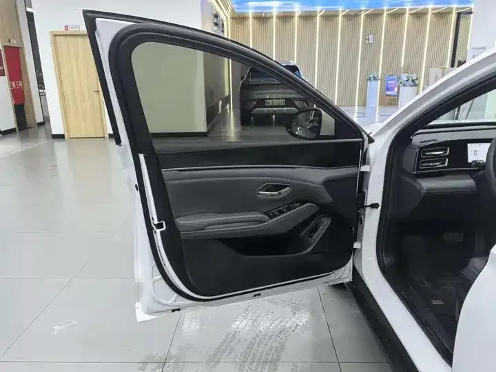 Qin L 2025 DM-i smart driving version 120KM leading model 7