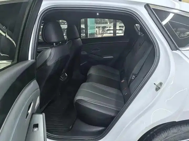 Qin L 2025 DM-i smart driving version 120KM leading model 9
