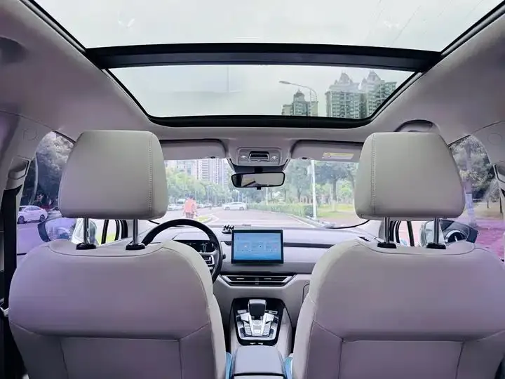 e-Platform 3.0 2023 Model 401km Premium Version 12