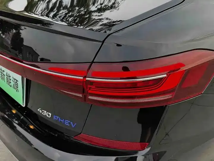 Passat New Energy 2022 430PHEV Hybrid Deluxe Edition 8