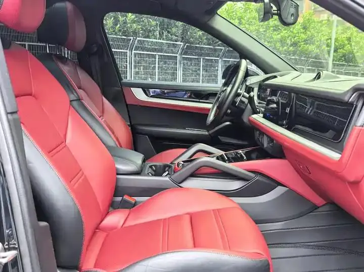 Cayenne 2023 Cayenne 3.0T 13
