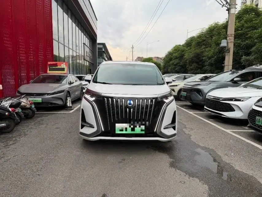 Denza D9 2022 EV 600 Four-wheel Drive Flagship 2