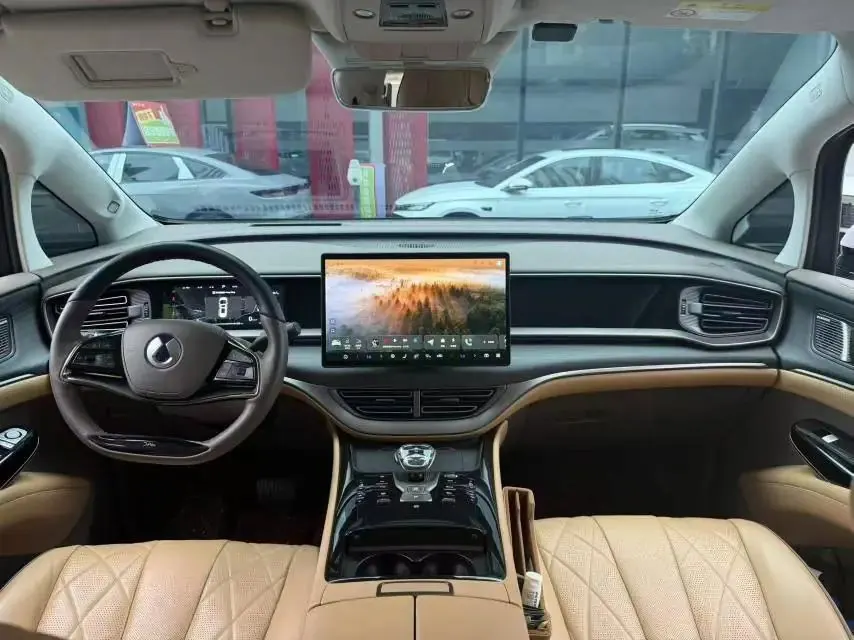 Denza D9 2022 EV 600 Four-wheel Drive Flagship 5