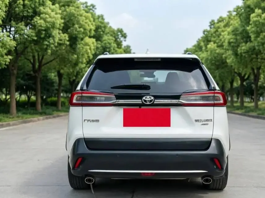 Willanda 2021 2.0L CVT Four-wheel Drive Deluxe Edition 6