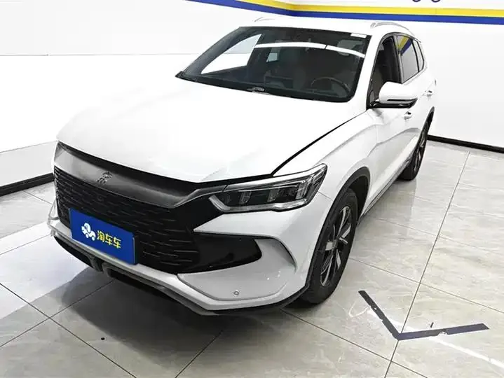 Song Pro New Energy 2024 Glory Edition DM-i 71KM Pilot - View 1