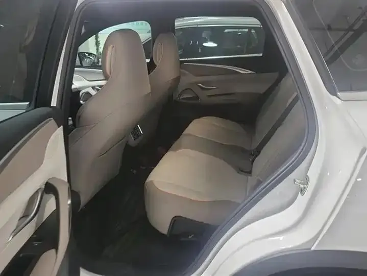 Song Pro New Energy 2024 Glory Edition DM-i 71KM Pilot 11