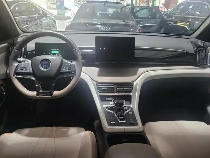 Song Pro New Energy 2024 Glory Edition DM-i 71KM Pilot 12