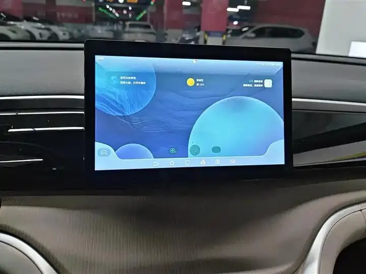 Song Pro New Energy 2024 Glory Edition DM-i 71KM Pilot 13
