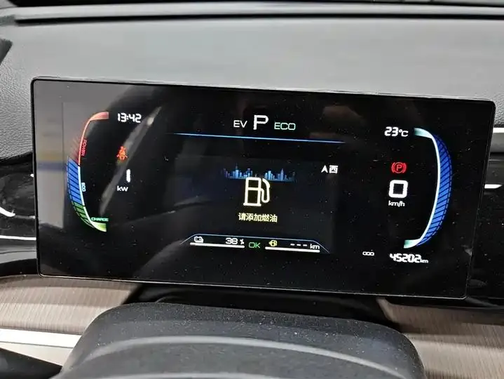Song Pro New Energy 2024 Glory Edition DM-i 71KM Pilot 14