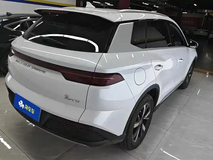 Song Pro New Energy 2024 Glory Edition DM-i 71KM Pilot 3