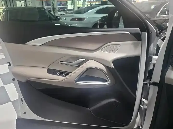 Song Pro New Energy 2024 Glory Edition DM-i 71KM Pilot 7