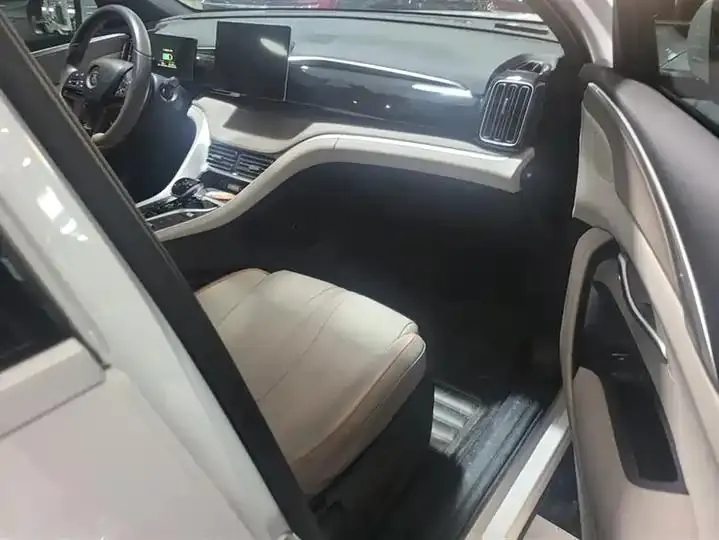 Song Pro New Energy 2024 Glory Edition DM-i 71KM Pilot 8