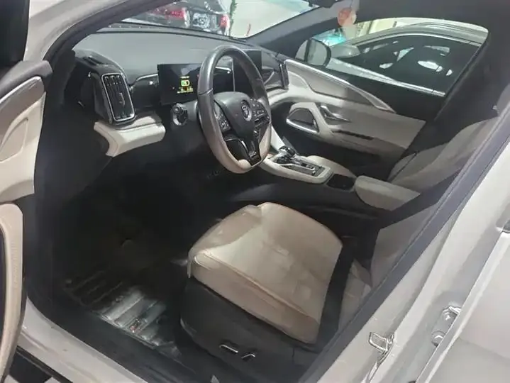 Song Pro New Energy 2024 Glory Edition DM-i 71KM Pilot 9
