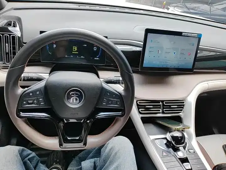 Song Pro New Energy 2024 Glory Edition DM-i 71KM Pilot 10
