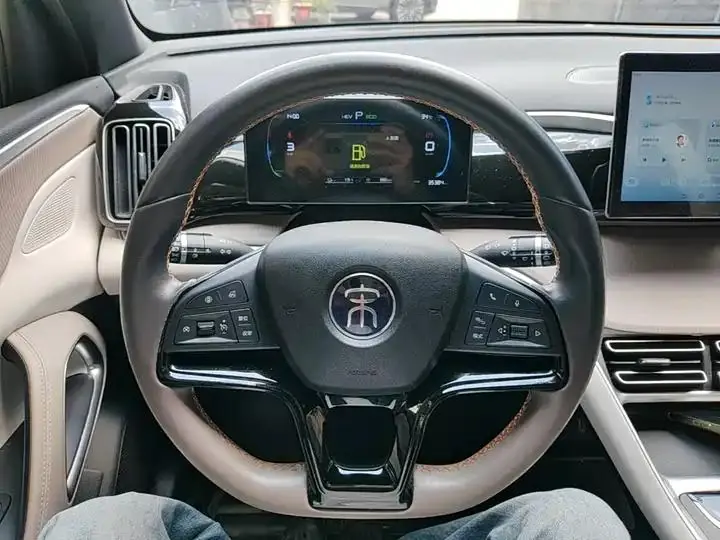 Song Pro New Energy 2024 Glory Edition DM-i 71KM Pilot 11