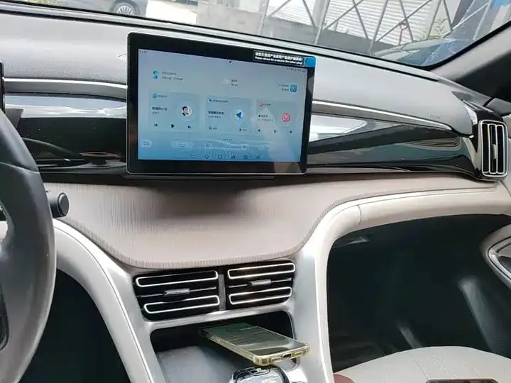Song Pro New Energy 2024 Glory Edition DM-i 71KM Pilot 13